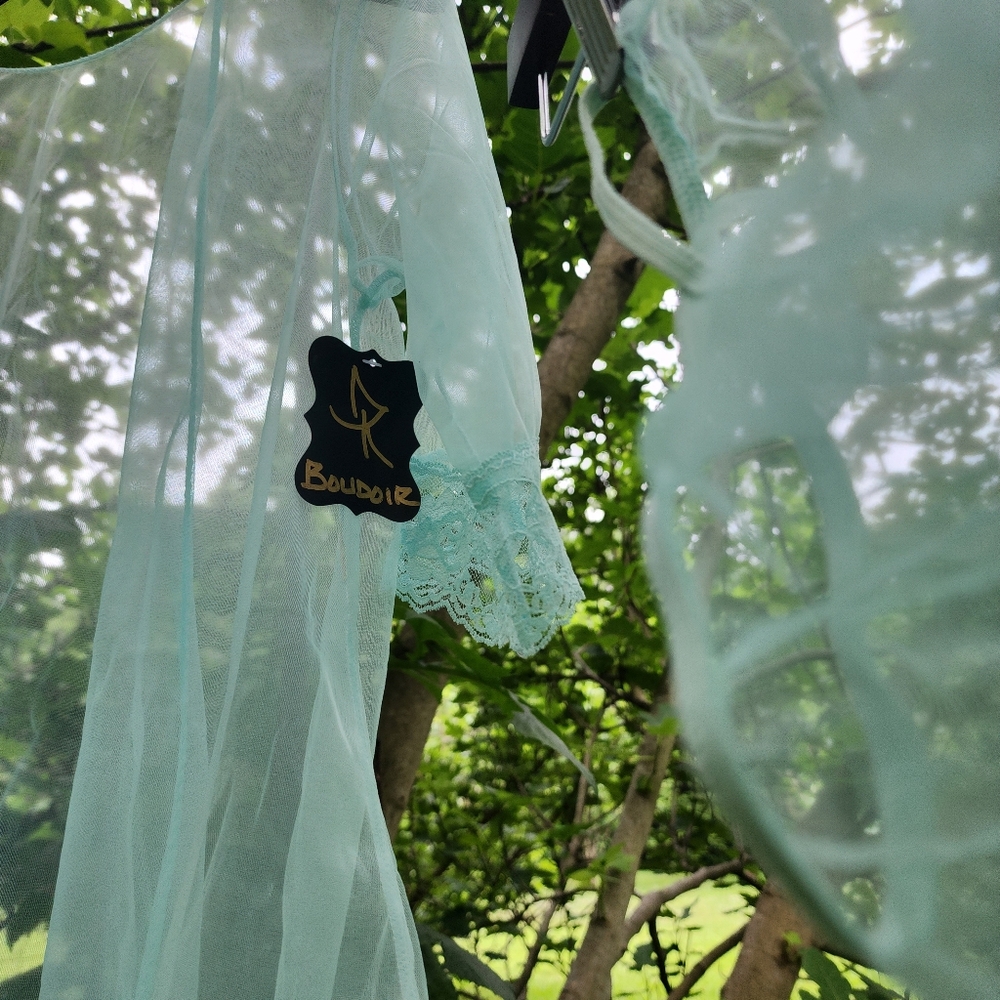 Vintage Sheer Lingerie Set - image 5